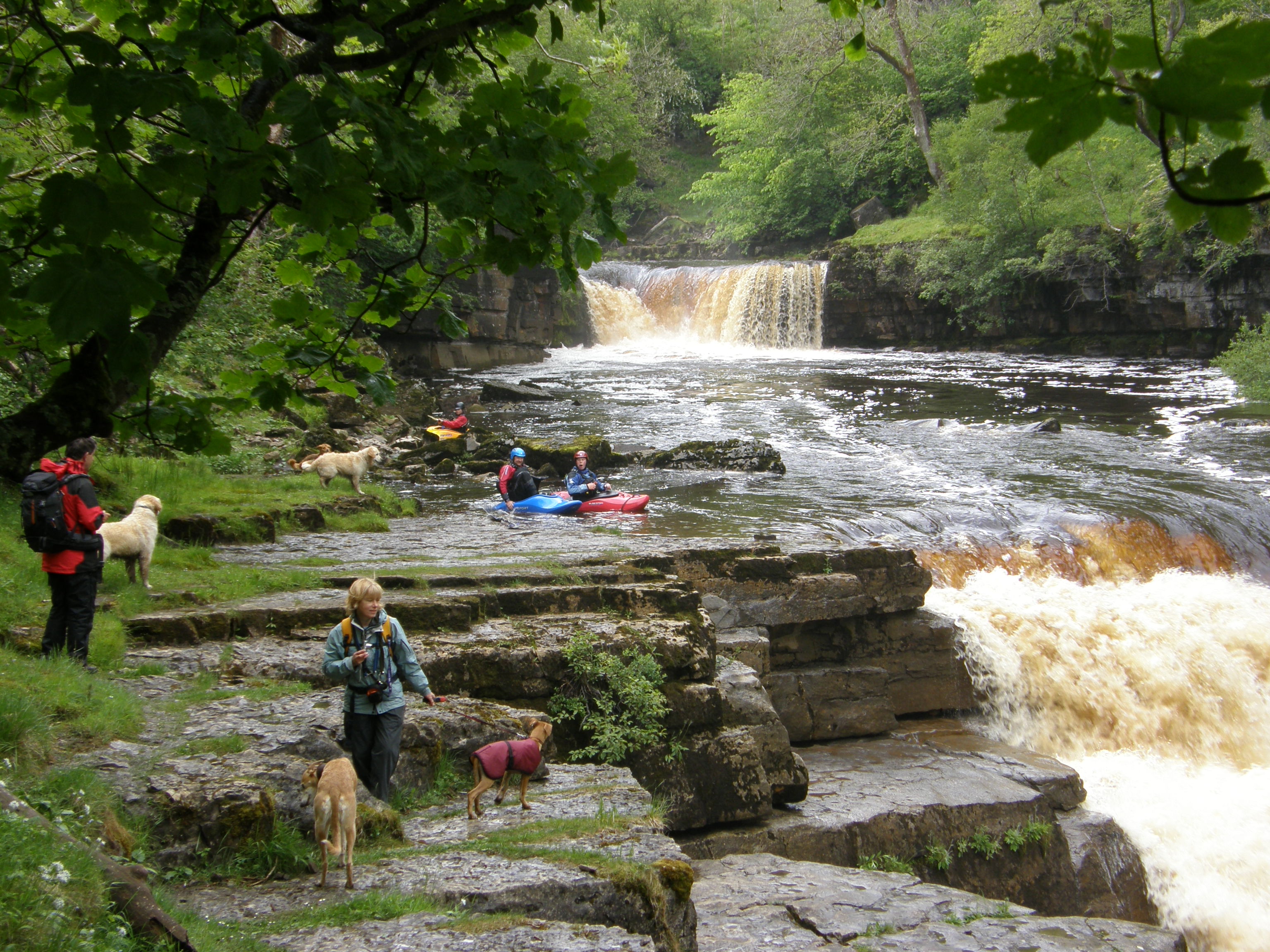 Kisdon Force